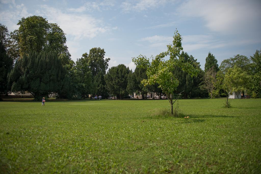 Parkhotel Tillmanns Eltville am Rhein Exterior photo